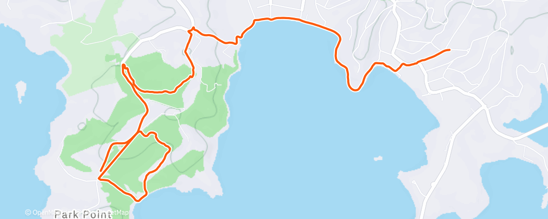 Карта физической активности (Morning Trail Run)