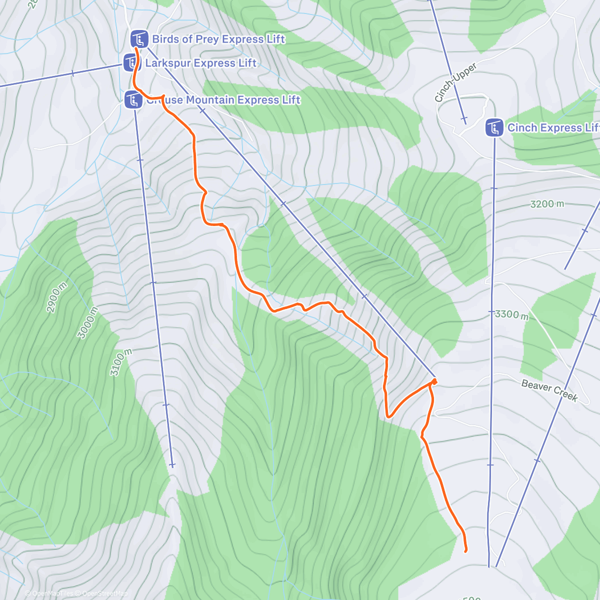 Map of the activity, Once down Birds of Prey