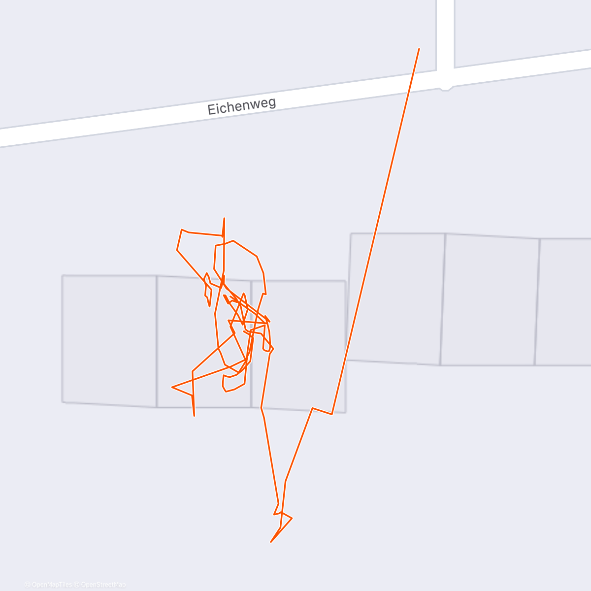 Карта физической активности (1/365 🤣)