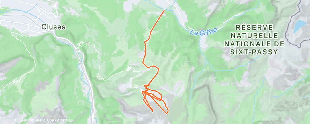 Карта физической активности (Morning Ski)