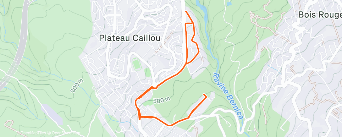 Карта физической активности (Course à pied dans l'après-midi)