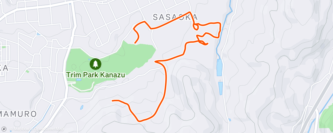 Map of the activity, Morning Run