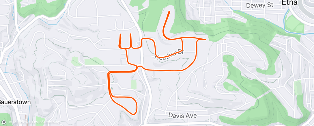 Map of the activity, Evening Run