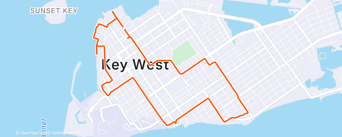 Map of the activity, Утренний забег