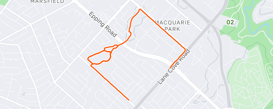 Карта физической активности (Morning Run)