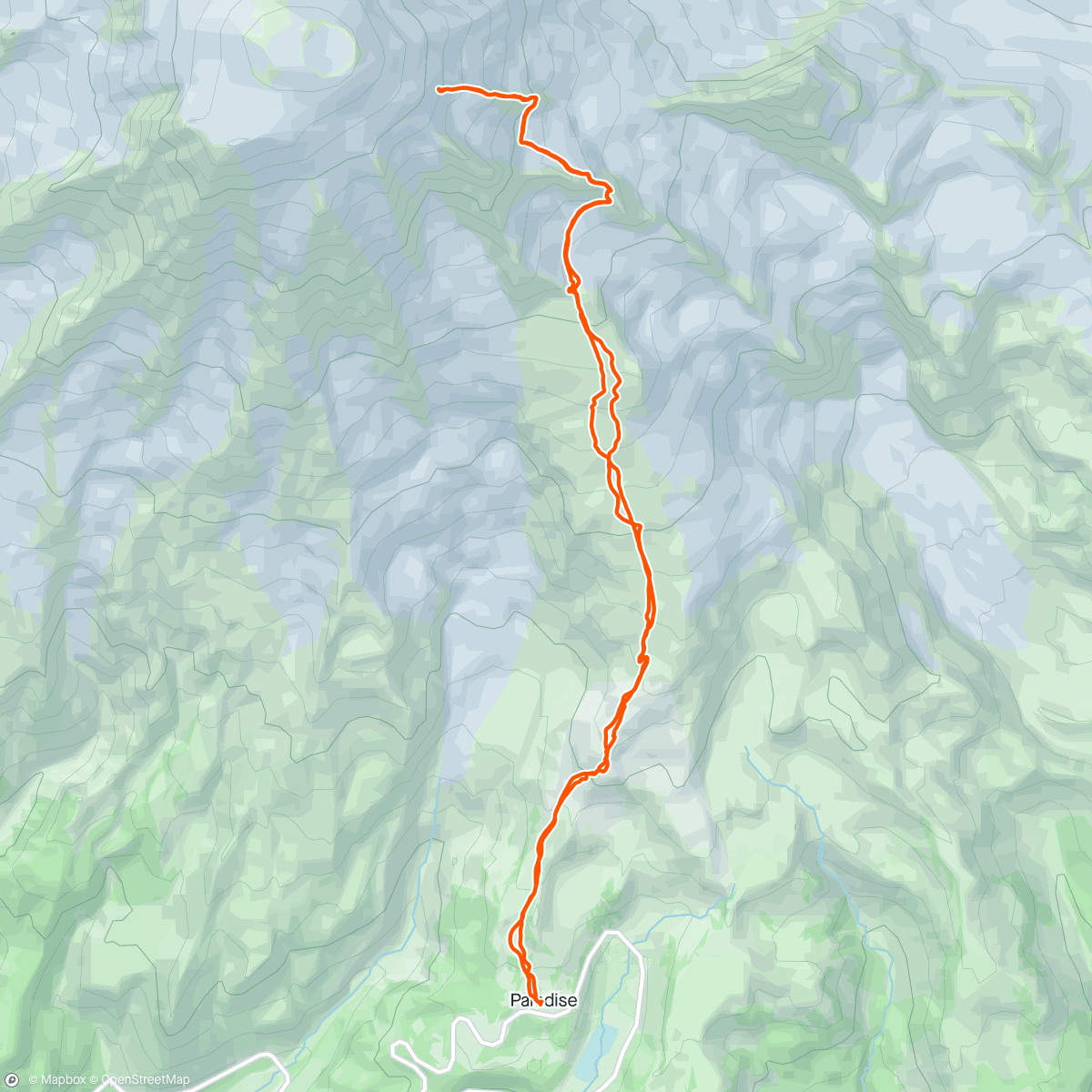 アクティビティ「Skimo - Mt Rainier (4 392)」の地図