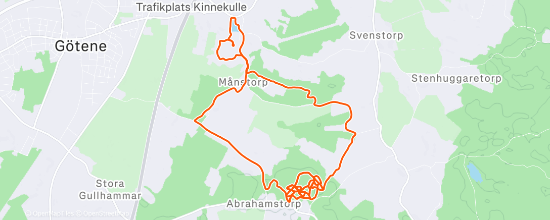 Карта физической активности (Evening Run)