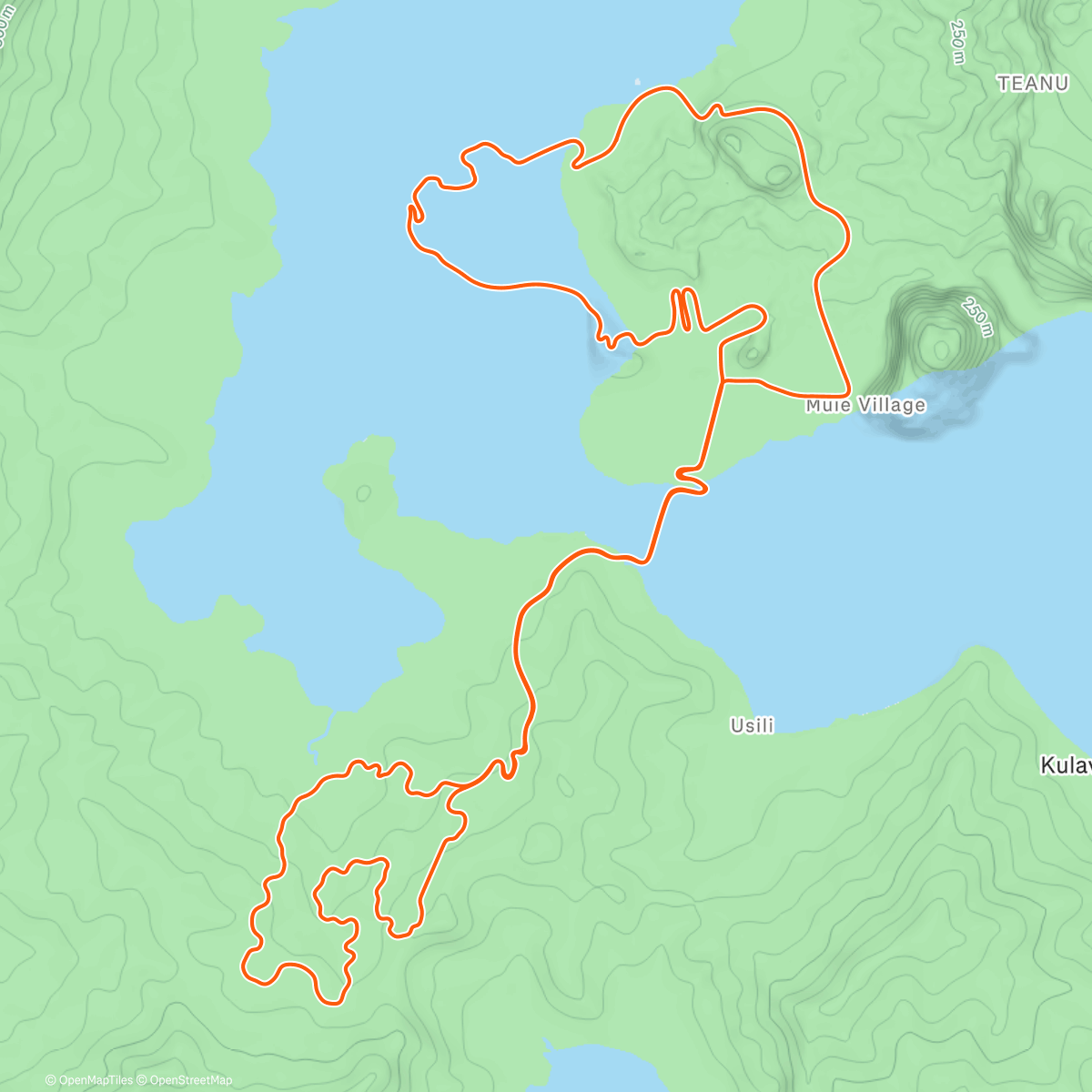 Карта физической активности (Zwift - Going Up The Zones on Road to Ruins in Watopia)