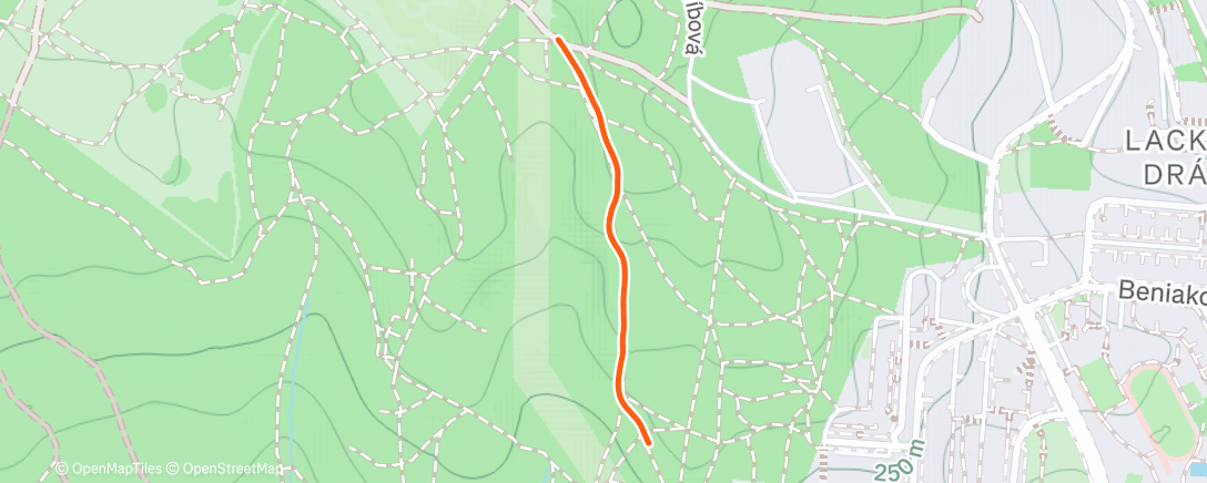 Map of the activity, Evening Trail Run