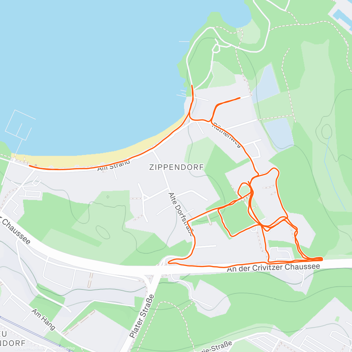 Карта физической активности (Lauf am Nachmittag)