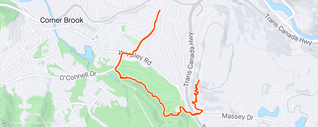 Map of the activity, Home ---> trails 🥰
