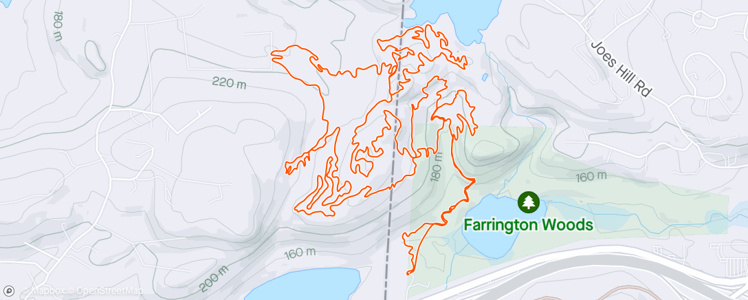 Map of the activity, 90 minutes at Farrington