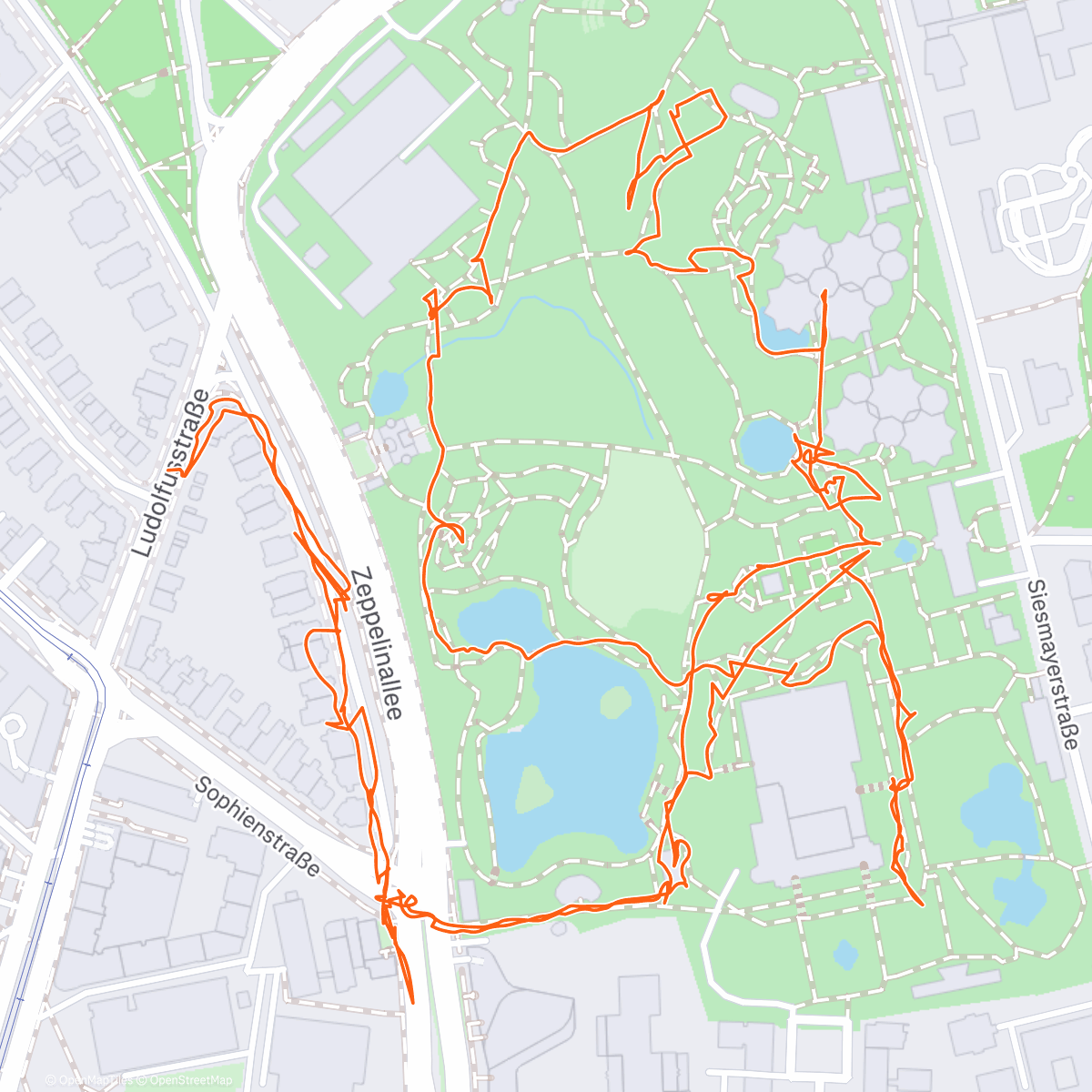 Карта физической активности (Winterlichter Palmengarten Ffm)