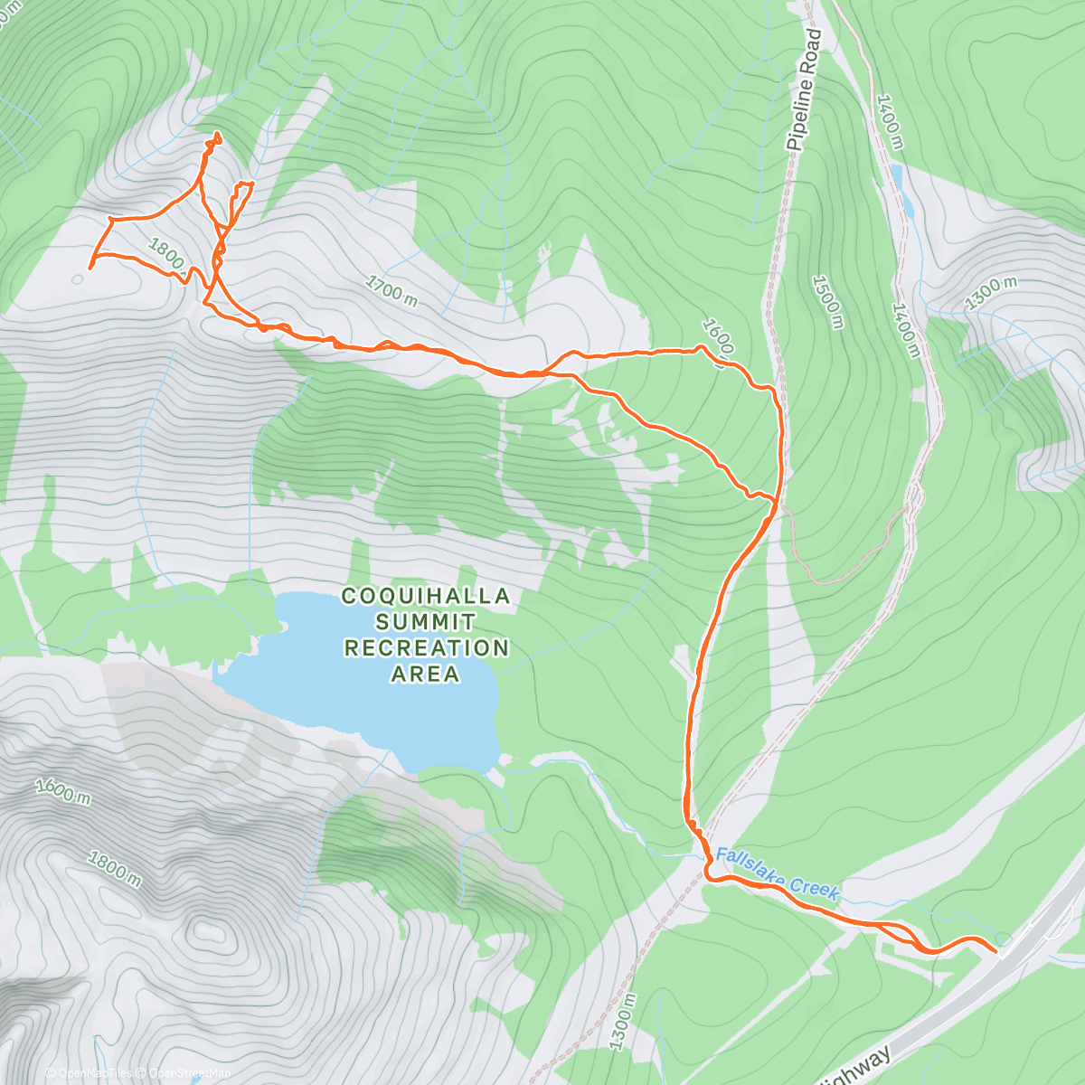 Map of the activity, Zoa