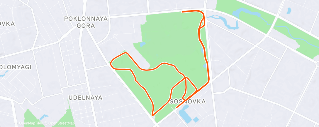 Карта физической активности (Night Run)