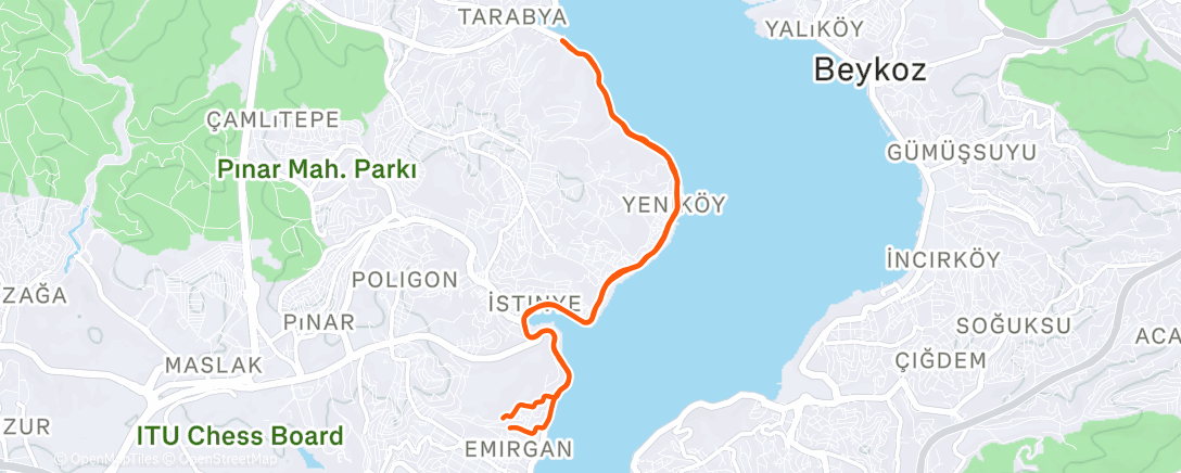 Карта физической активности (Morning Run)