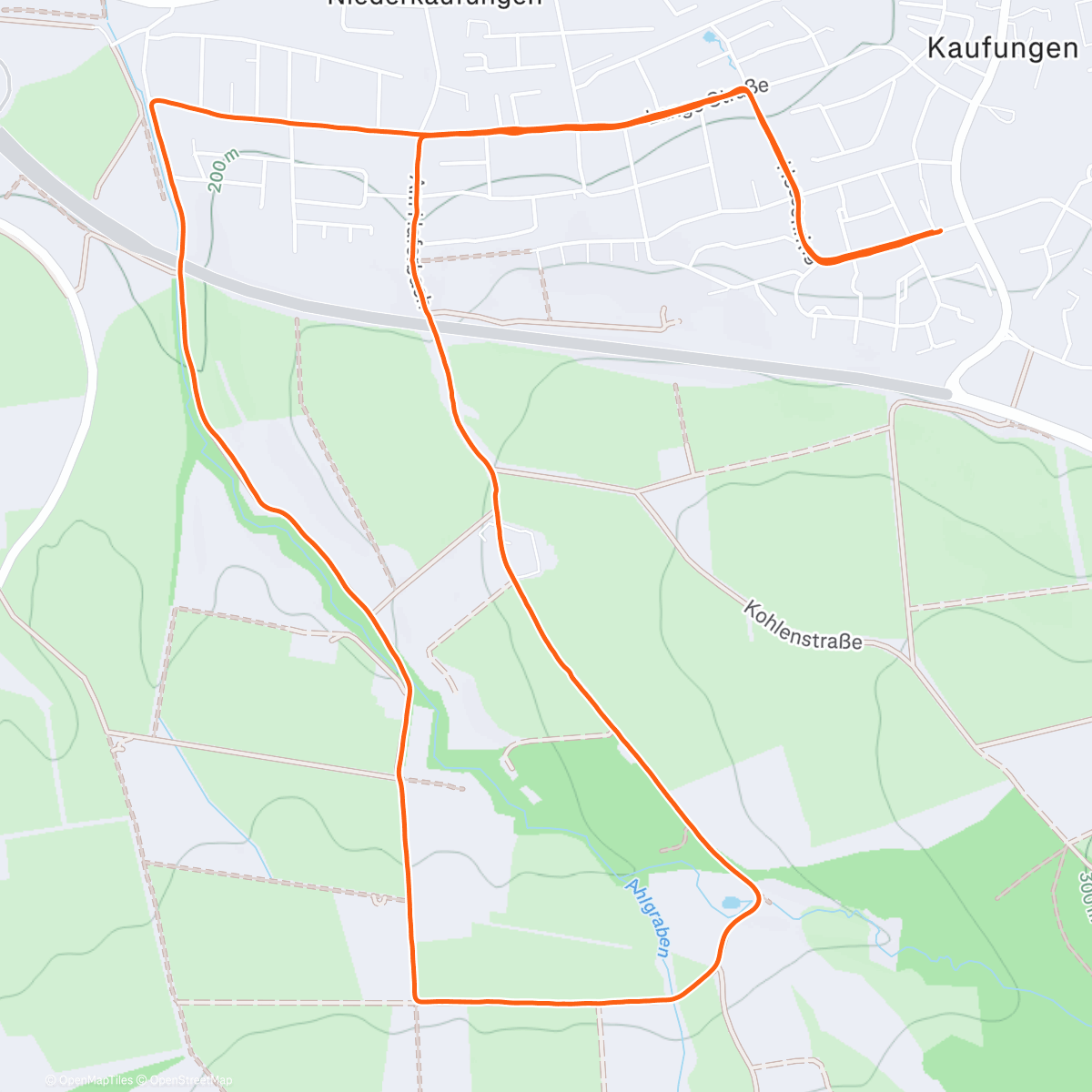 Карта физической активности (Silvesterlauf Kaufungen 2025)