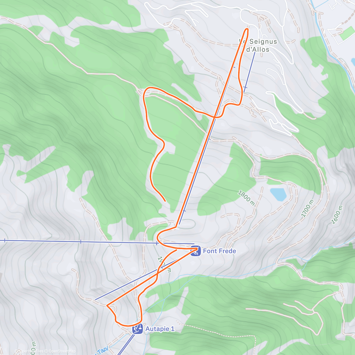 Map of the activity, Ski ⛷️ alpin  à allos