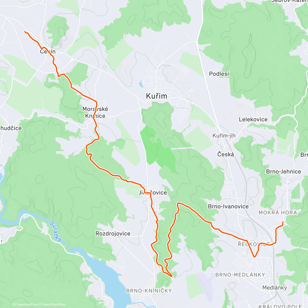 Карта физической активности (easy)