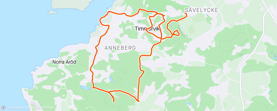 Map of the activity, MTB I Timmervik, en hel del avverkad skog som ligger så att man får släpa cykeln.