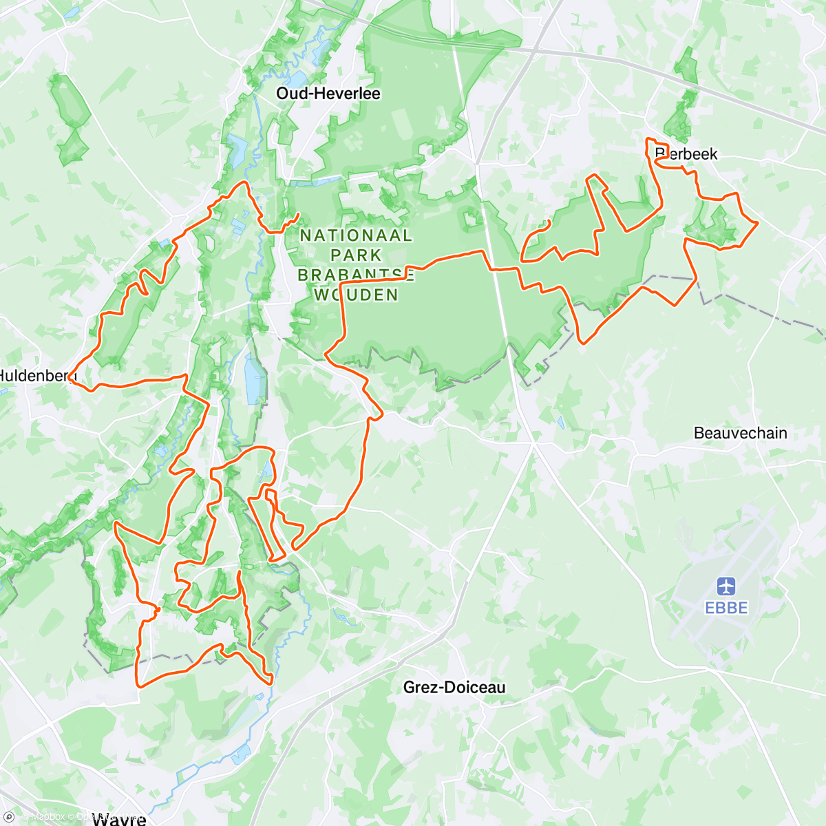 Map of the activity, Night Run