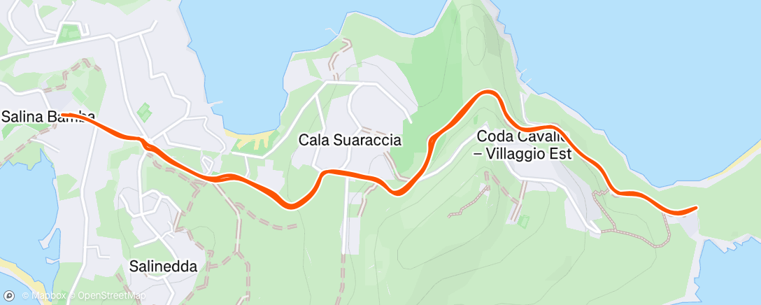 Map of the activity, Morning Run