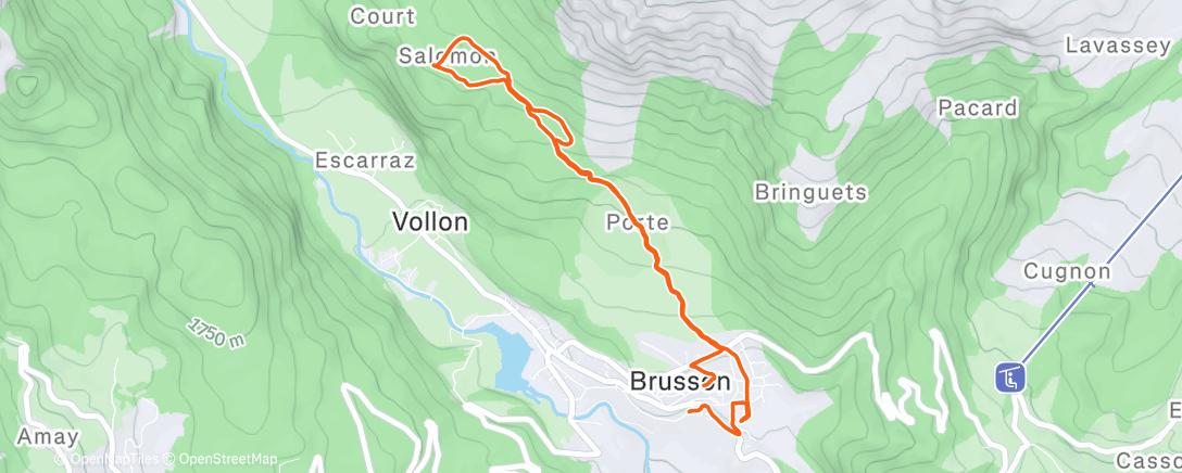 Карта физической активности (Ice skating)