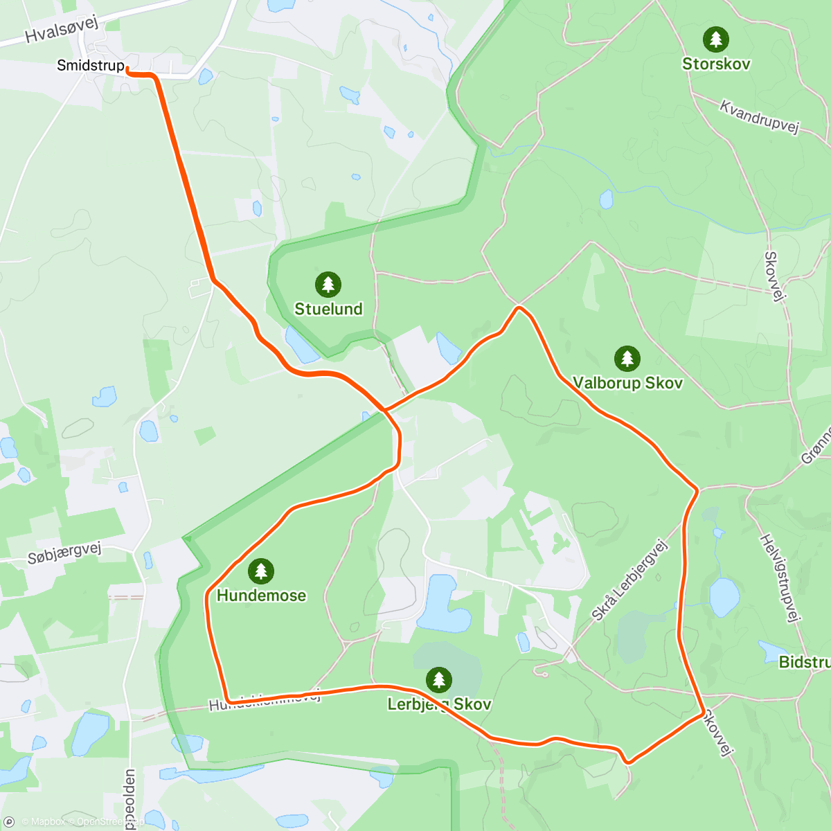 Map of the activity, Morning Run