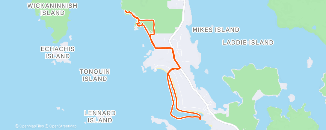 Карта физической активности (First run since hyrox)