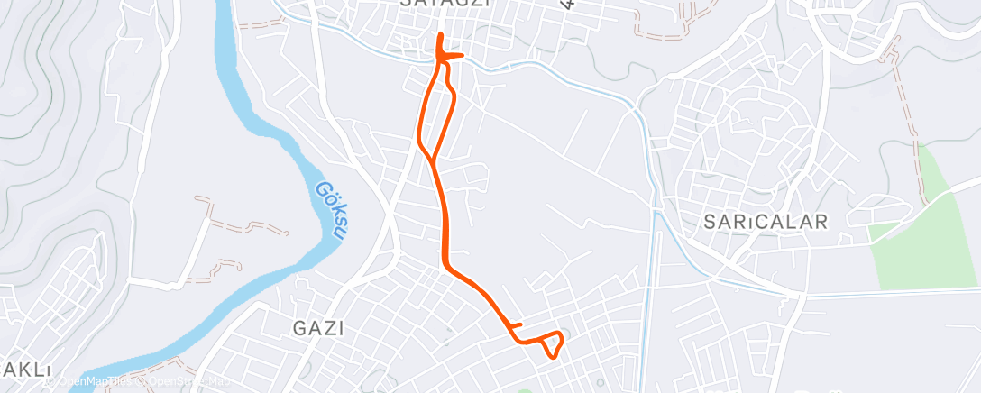 Карта физической активности (Утренний забег)