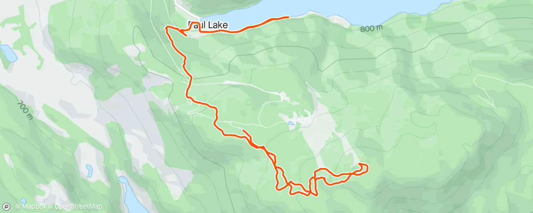 Map of the activity, Friyay lap with the good boi Silverthorne