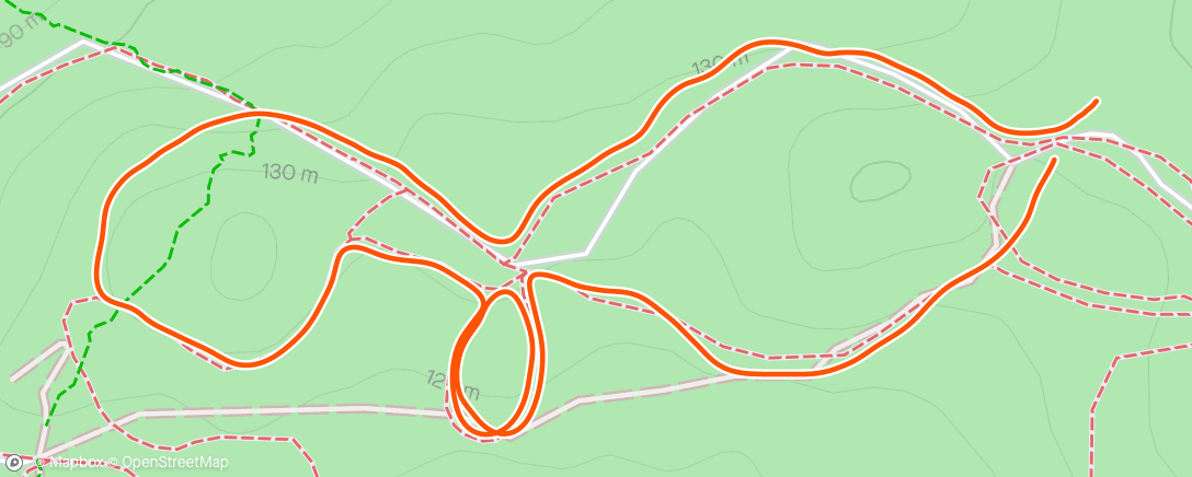 Map of the activity, Morning Run