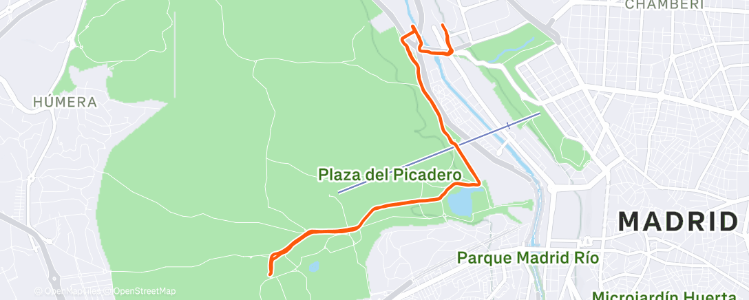 Map of the activity, Its race week! 🙌🏼