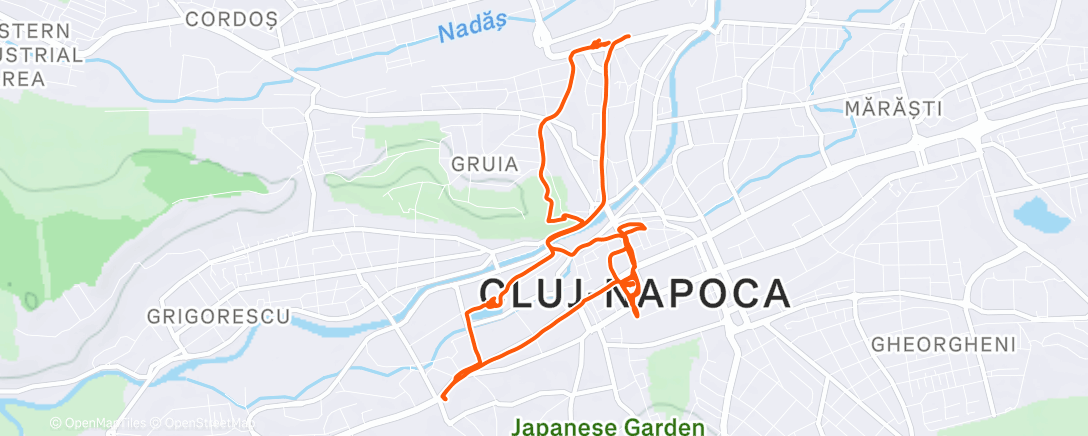 Карта физической активности (Morning Walk)