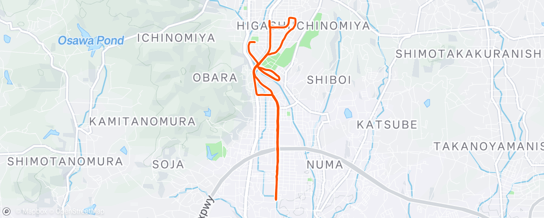 Map of the activity, 夜のランニング