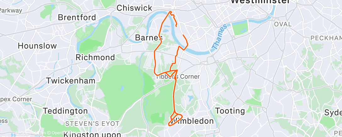 Карта физической активности (Looptastic)