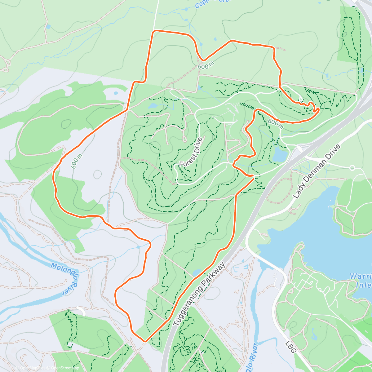 Map of the activity, Paddock bashin’: Morning Trail Run