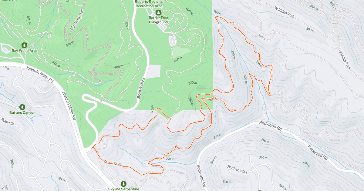 Afternoon Trail Run | Strava