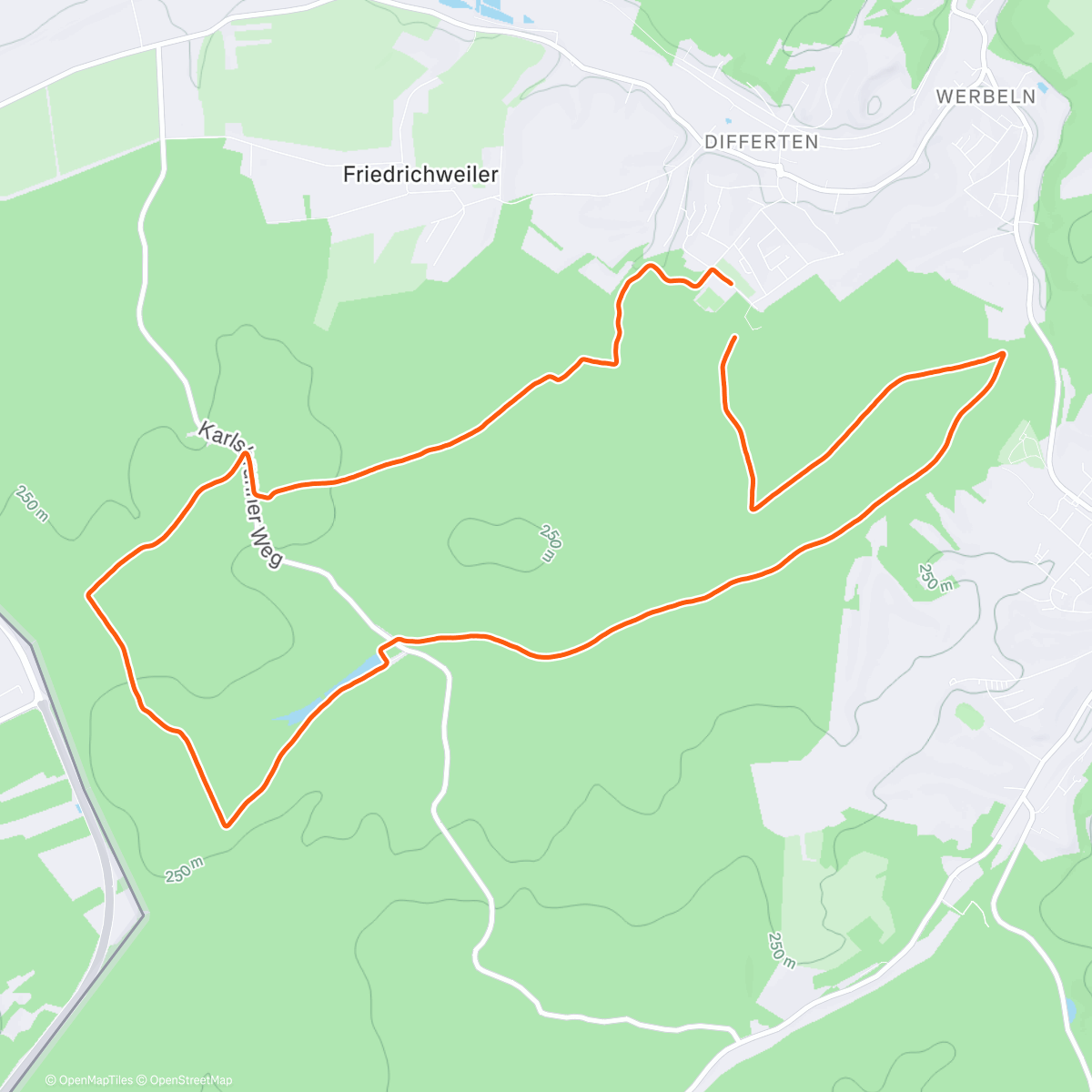 Map of the activity, Warndtwald 🥰