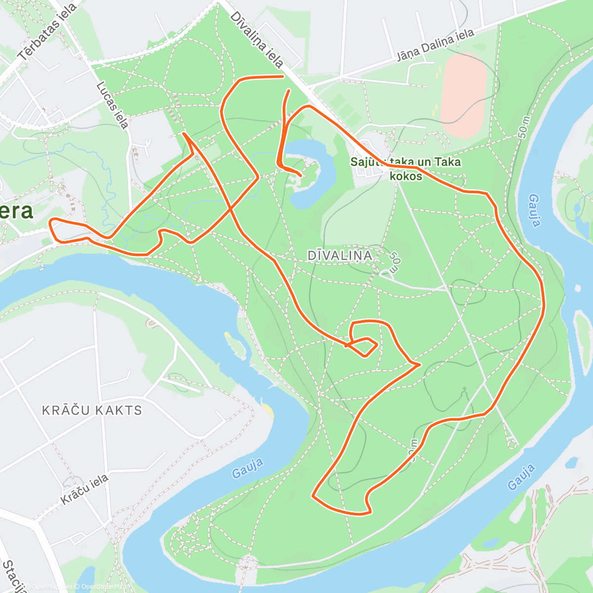 Карта физической активности (Gaujas Ziema 25-26 8. kārta - Kazu Krāces (Valmiera))