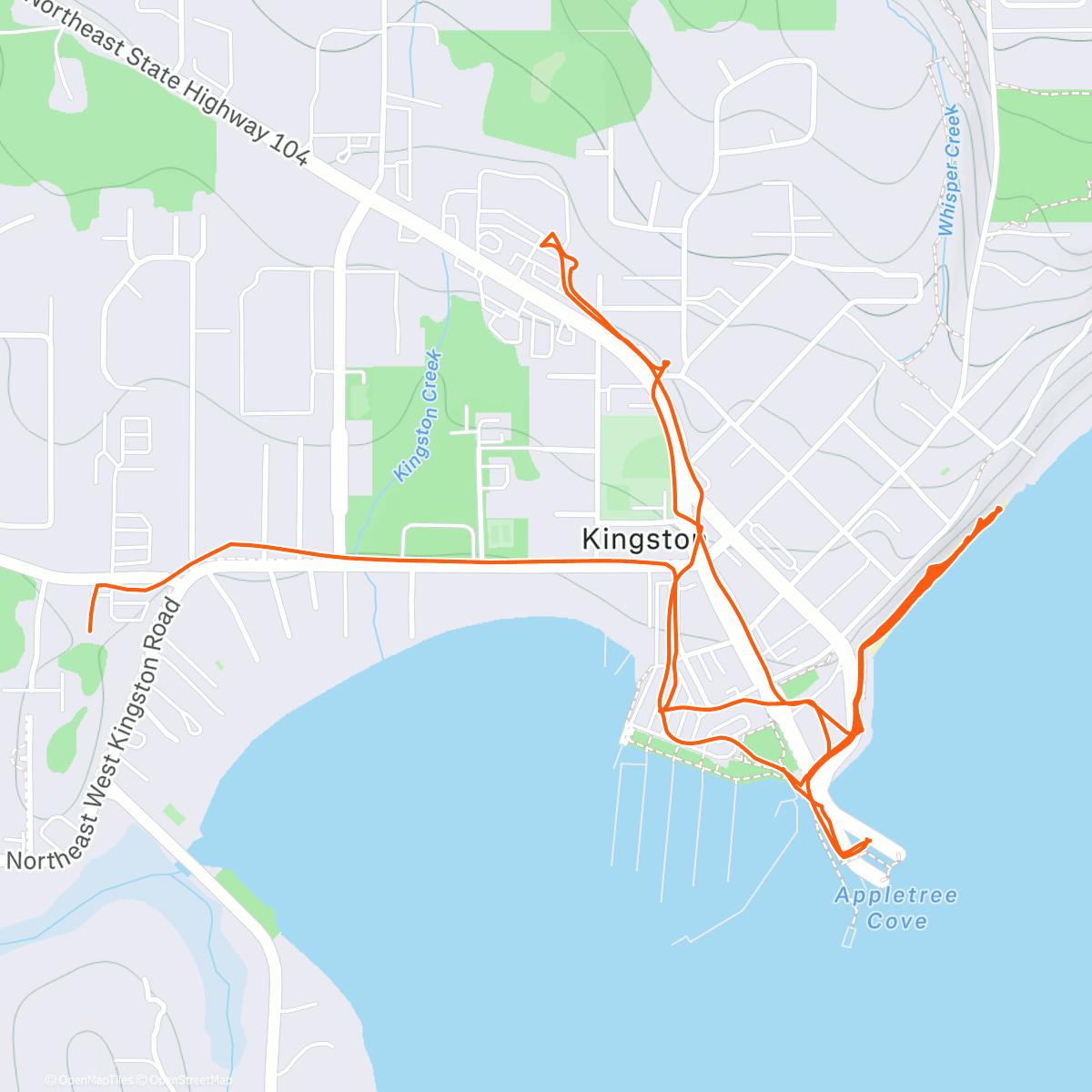 Map of the activity, No whales today just stellar sea lions and a harbor seal