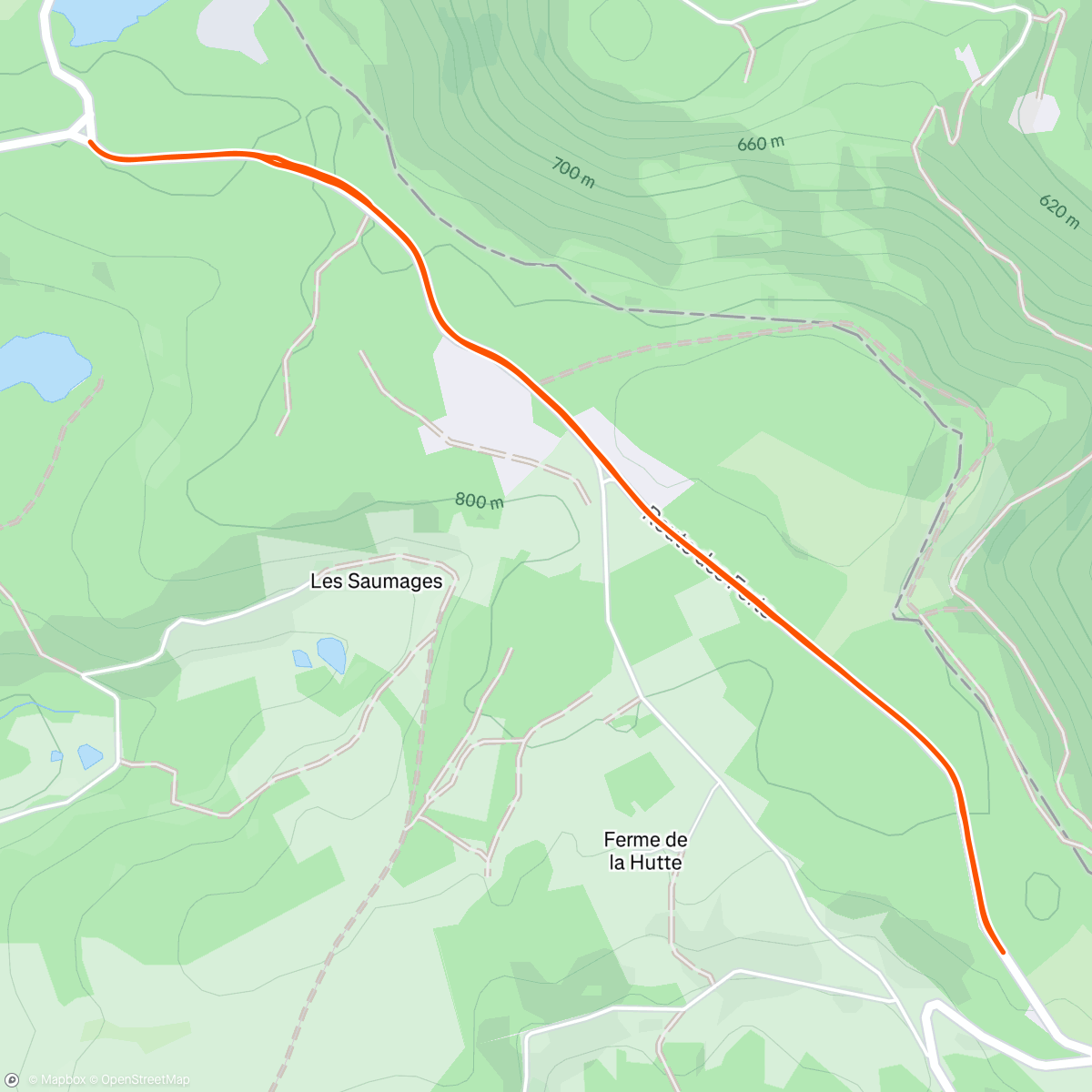 Map of the activity, Ski nordique dans l'après-midi