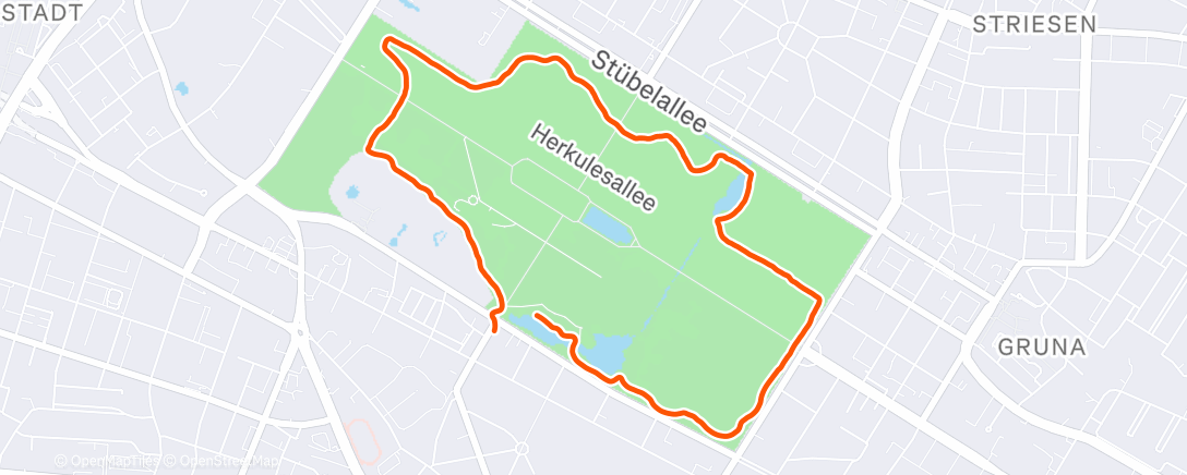 Map of the activity, Afternoon Run