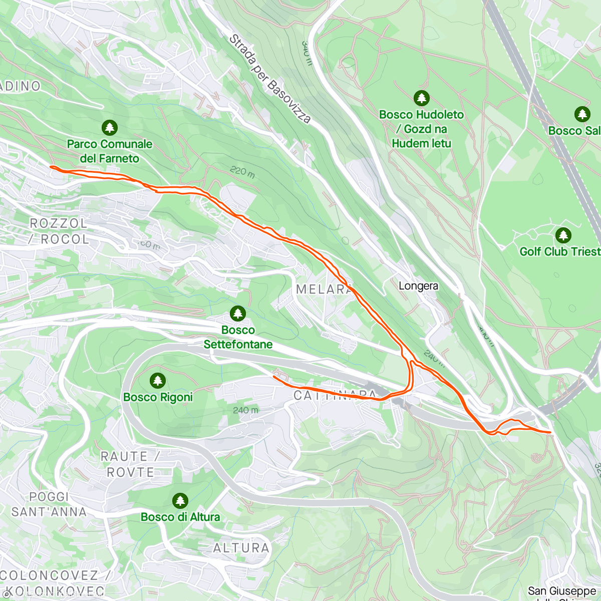 Map of the activity, ⛅ 8,22km: Corsa collinare a sensazione #RunnersDisagiatiTS
