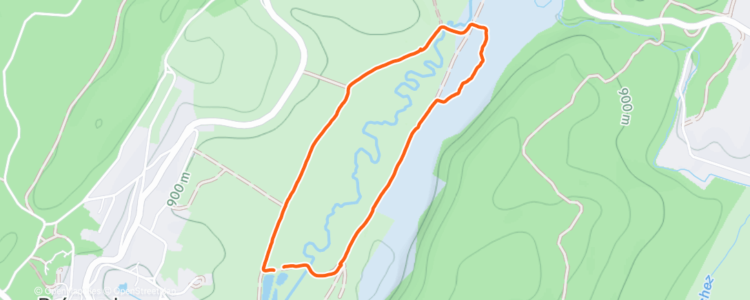 Карта физической активности (Marche dans l'après-midi)