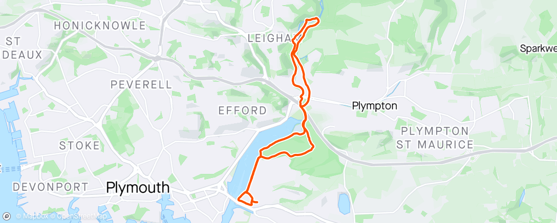 Map of the activity, Morning Run with Enzo 🏃🏻🦮🌧️
