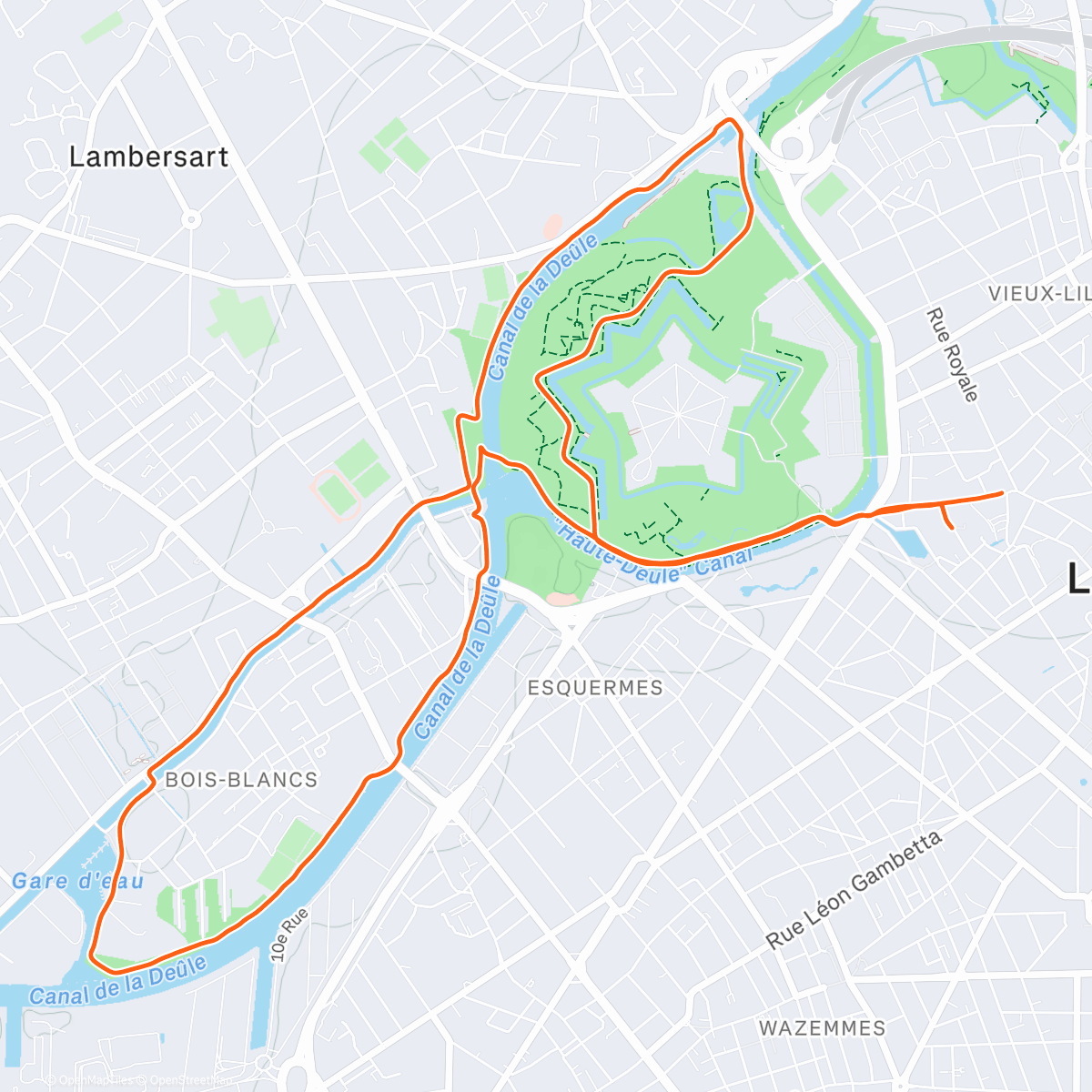 Карта физической активности (On remplit les vitamines D☀️)