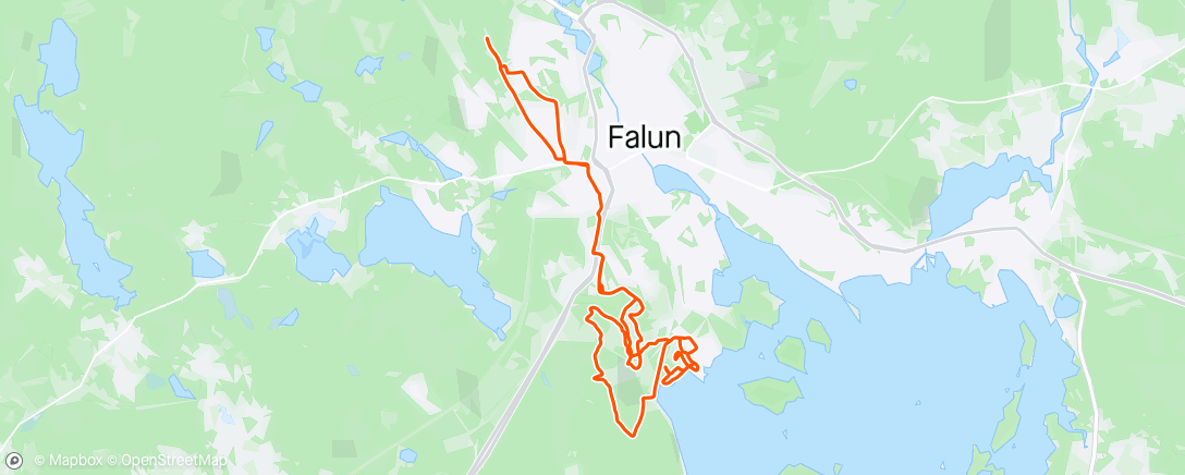 Map of the activity, MTBO träning med ok Kåre