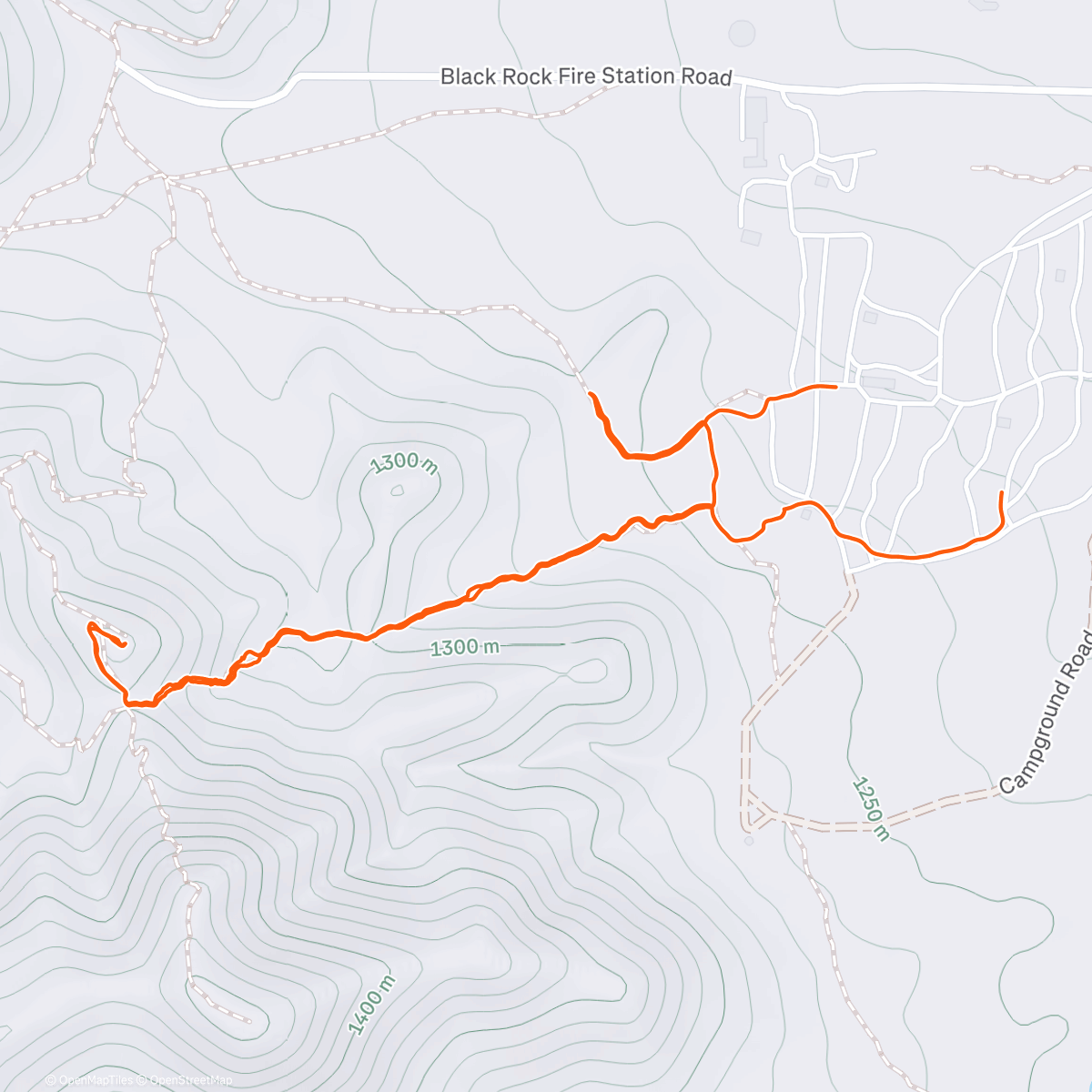 Карта физической активности (Joshua trees do not give)