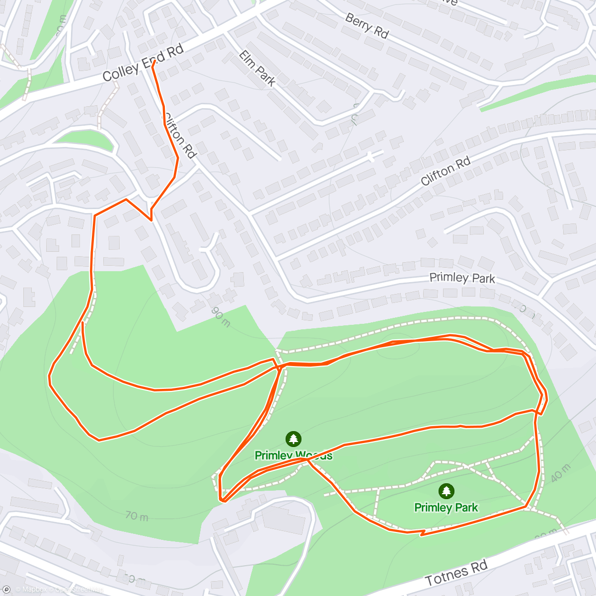 Map of the activity, Dog run